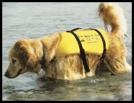 SEA DOO PET PFD