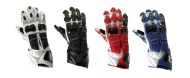 Arlen Ness Racing Glove