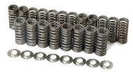 Graves Motorsport Valve Spring Kit